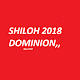 Shiloh 2019 Breaking Limits,, Install on Windows