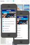 Deloitte BiH