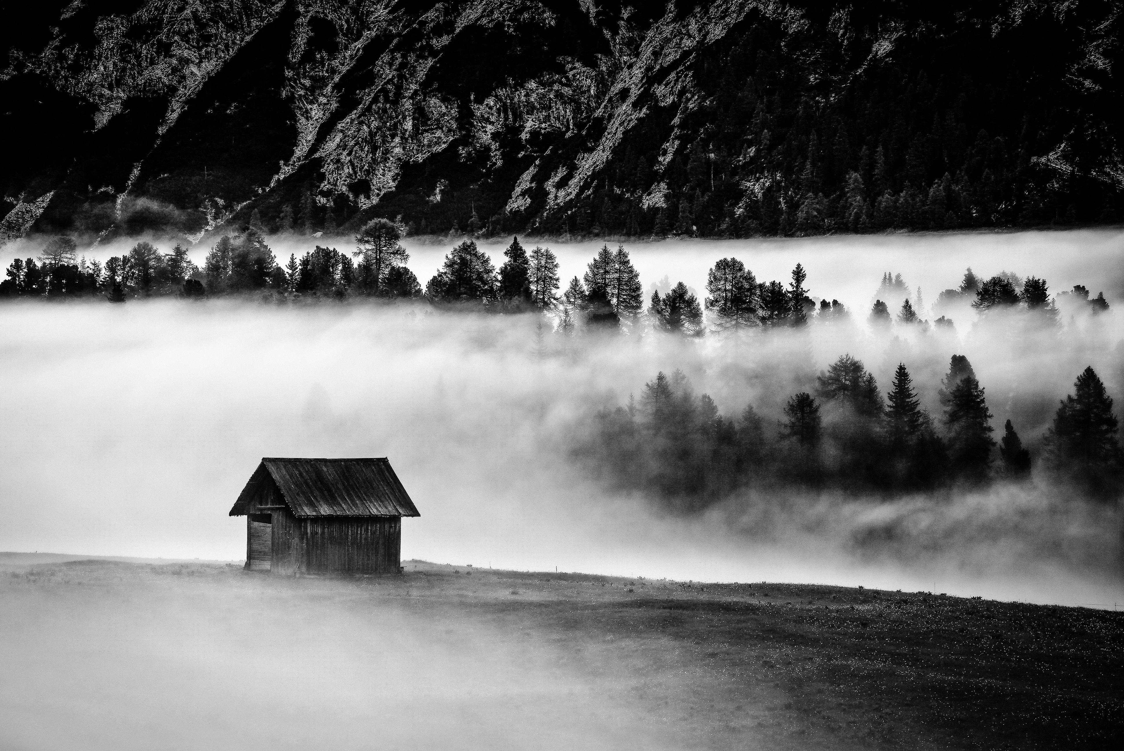 Tra la nebbia di Claudio Tenca