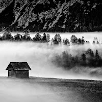 Tra la nebbia di 