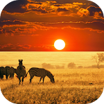 Cover Image of Tải xuống AFRICA. WORLD WALLPAPER 1.0 APK