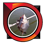 Cover Image of Download accurate bait freshwater fish 4.0 APK