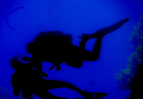 Under The Deep Blue Sea di Andrea Izzotti