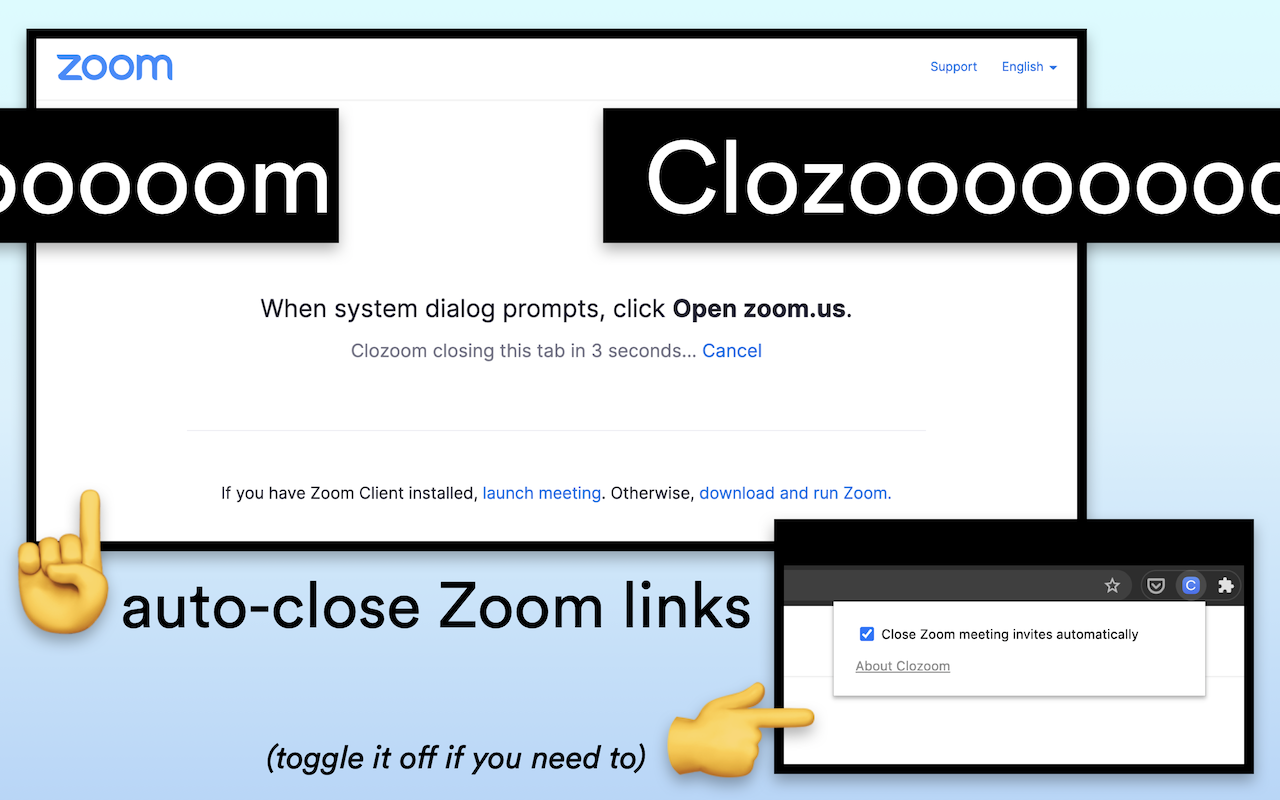 Clozoom Preview image 3