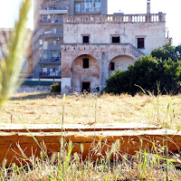 La casa dei serpenti di 