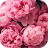 pink flower wallpaper icon