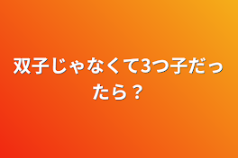 双子じゃなくて3つ子だったら？