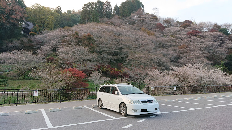 の投稿画像11枚目