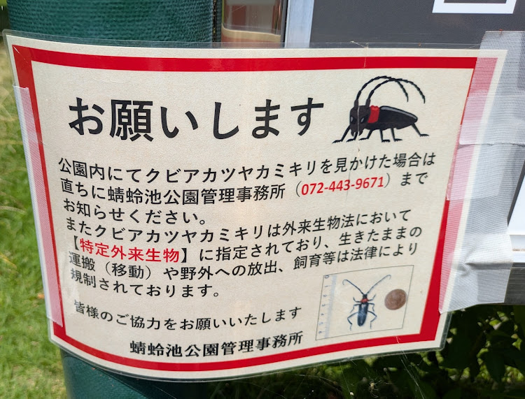 カローラツーリングの斜め45度後方の美学・蜻蛉池公園・熱中症に注意・柴犬ノア号・いぬtuneに関するカスタム事例の投稿画像3枚目