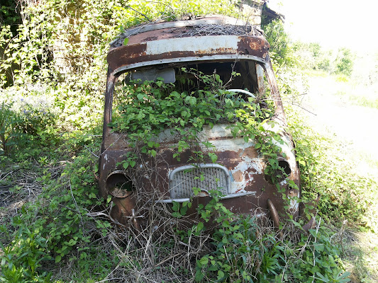 Fiat 600 multipla in buono stato "vendesi" di claudio_sposetti