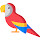 Parrot Wallpapers HD Theme