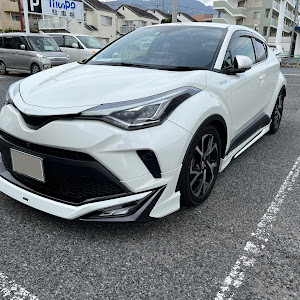 C-HR ZYX11