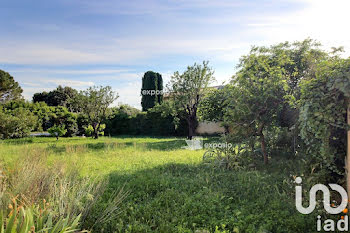 terrain à Morières-lès-Avignon (84)