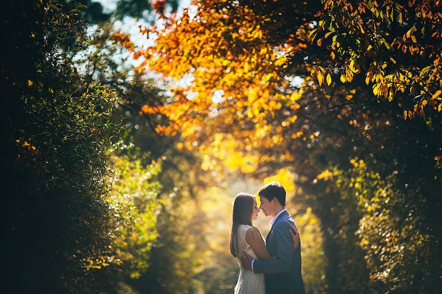 Fotógrafo de casamento Vladimir Popovich (valdemar). Foto de 7 de novembro 2016