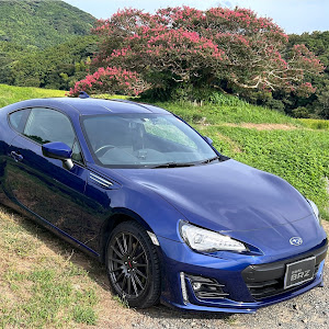 BRZ ZC6