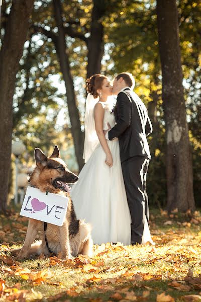 Wedding photographer Mark Sobchuk (marksodschuk). Photo of 12 December 2013