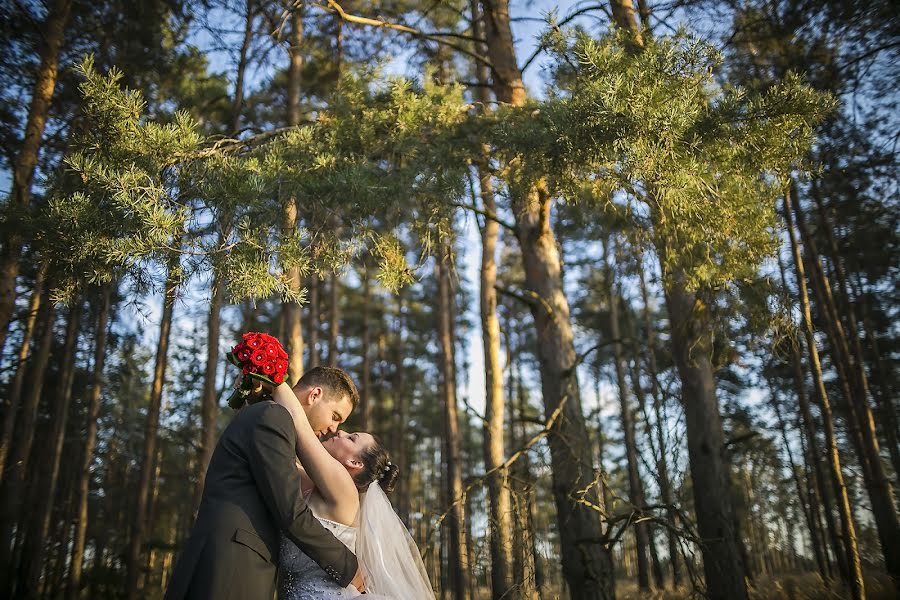 Fotógrafo de casamento Virág Mészáros (awhjs). Foto de 13 de novembro 2016