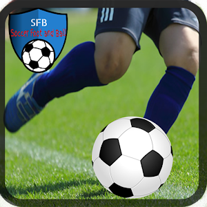 Dream League Mobile Soccer.apk 1.0
