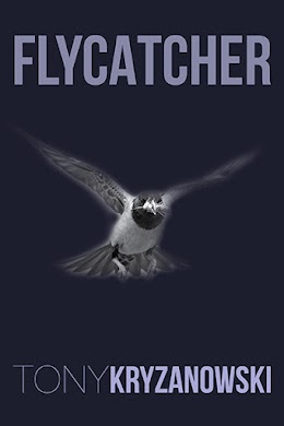 Flycatcher cover