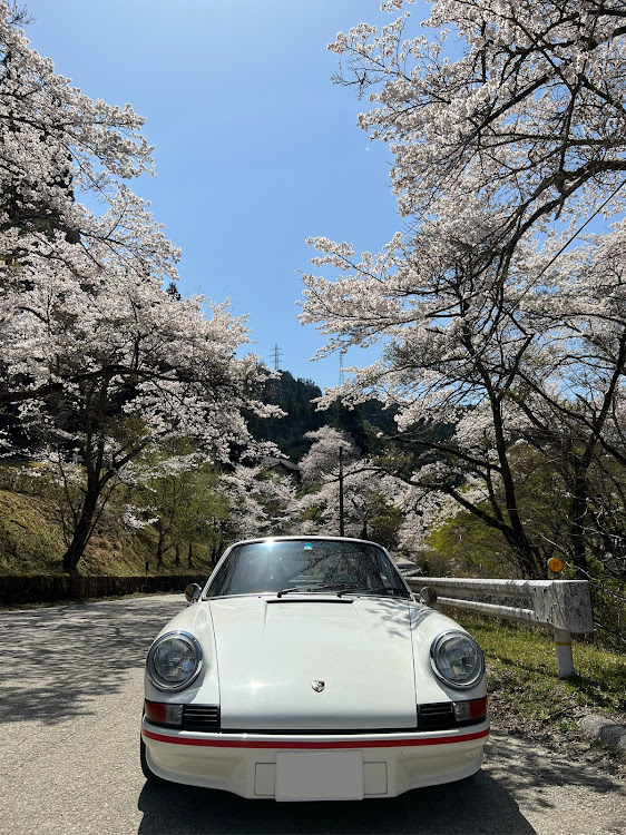 911 クーペの桜とコラボ🌸に関するカスタム事例の投稿画像5枚目