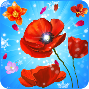 Blossom Star logo