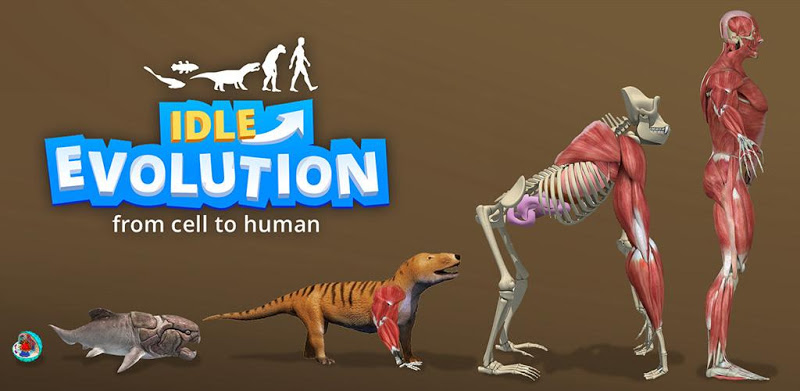 Idle Evolution - from Cell to Human