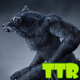 Download werewolves wallpaper For PC Windows and Mac 1.00