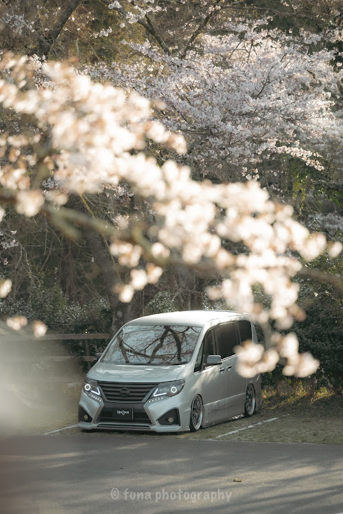 セレナの4月もよろしくお願い致します🌸・桜とコラボ・カメ活・桜×愛車・discover＿ctに関するカスタム事例の投稿画像1枚目