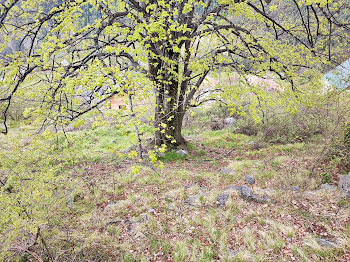 terrain à Venanson (06)