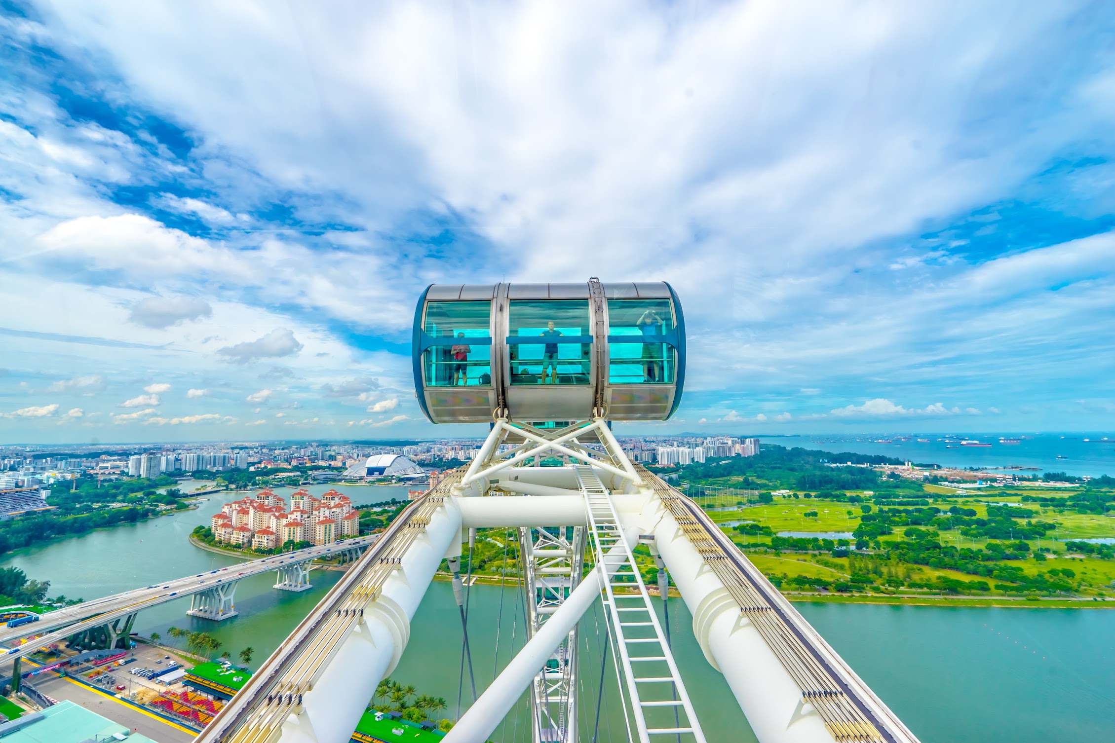 Singapore Flyer1