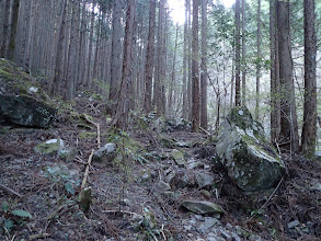 右岸を進む