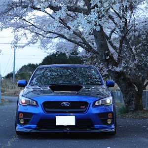 WRX STI VAB