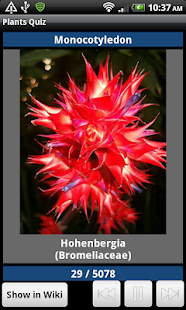 Plants Quiz - for botanists(圖5)-速報App