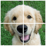 Cover Image of Download Dogs Puzzle 3.1 APK