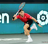 Pijnlijk: opnieuw achtervolgen voor België in Davis Cup nadat Zizou Bergs verliest ondanks zeven(!) setpunten