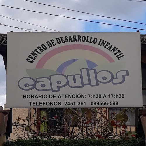 Opiniones de Centro De Desarrollo Intantil Capullos en Quito - Guardería