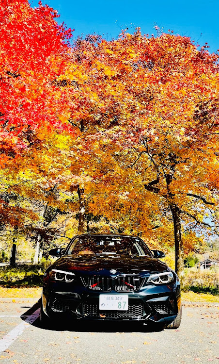 M2 クーペの紅葉🍁ドライブ〜ウズウズ〜🎶・山形のチャレンジさん！ありがとうございます👍🤣に関するカスタム事例の投稿画像2枚目