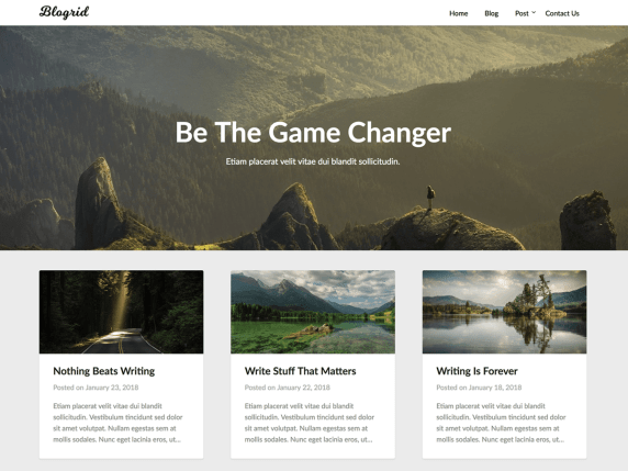 Blogrid - WordPress theme coding and programming