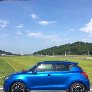 スイフトスポーツ ZC33S