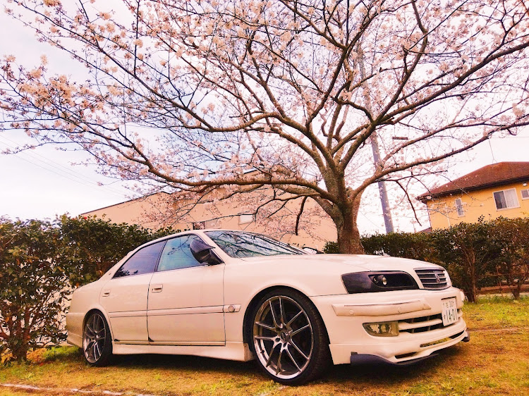 チェイサーの桜とコラボ・房総ドライブに関するカスタム事例の投稿画像17枚目
