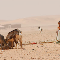 deserto di 