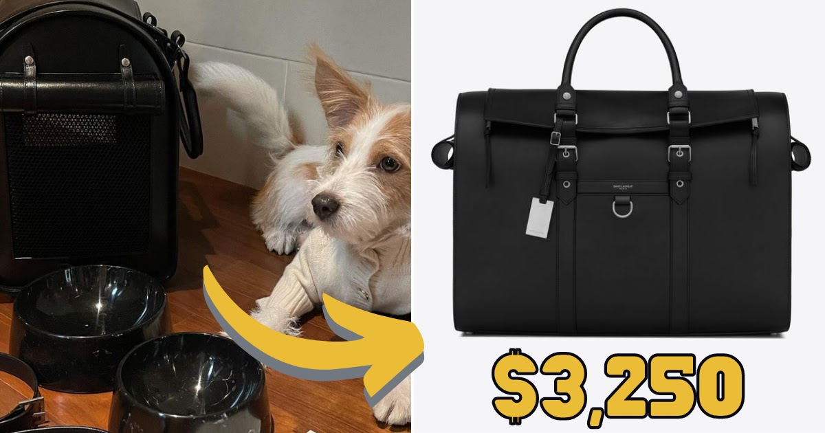 Blackpink member Rosé's fave luxury items that sold out quick: a Saint  Laurent Kaia Satchel, Louis Vuitton pet collar for pet pup Hank and more –  here's what her fans covet, copy