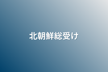 北朝鮮総受け