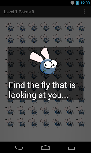 Find the fly