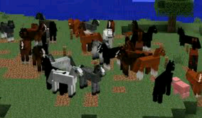 Horse Mod Screen 2
