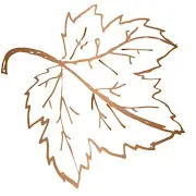 Maple Glazing Logo