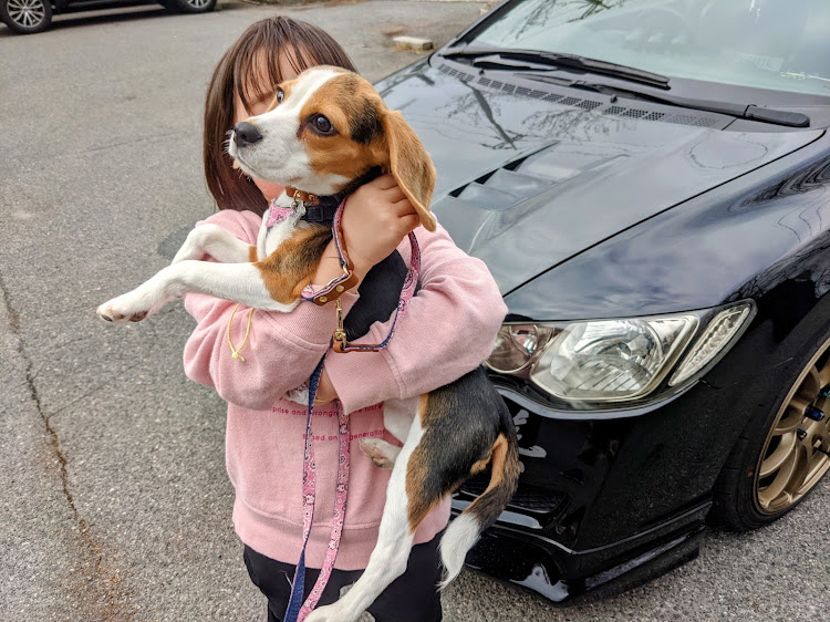 シビックタイプRのドライブ・愛犬と愛車コラボ・カーボンパーツに関するカスタム事例の投稿画像1枚目