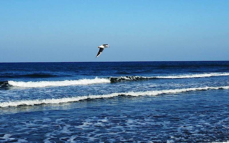 cielo e mare sempre più blu di luciano55