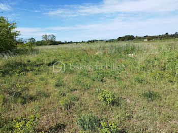 terrain à Saint-Jean-de-Fos (34)