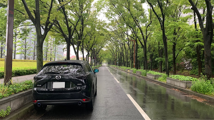 CX-5のCX-5・インテックス大阪付近に関するカスタム事例の投稿画像2枚目